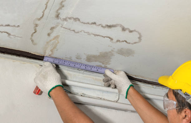 Reliable Mold Remediation contractor in Hockley, TX by Water Damage Irwin